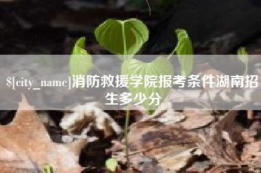 永兴消防救援学院报考条件湖南招生多少分