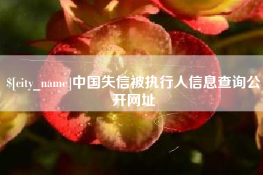 永兴中国失信被执行人信息查询公开网址