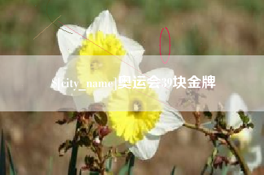 永兴奥运会39块金牌