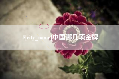 永兴中国哪几项金牌