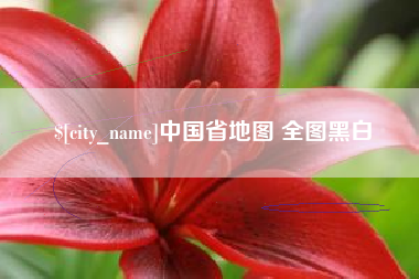 永兴中国省地图 全图黑白