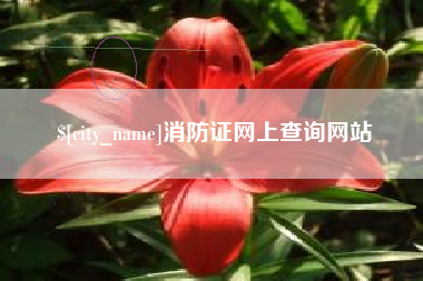 永兴消防证网上查询网站