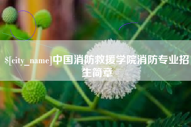 永兴中国消防救援学院消防专业招生简章