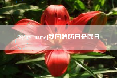 永兴我国消防日是哪日