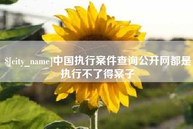 永兴中国执行案件查询公开网都是执行不了得案子