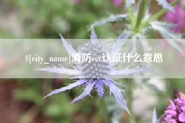 永兴消防ccc认证什么意思