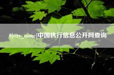 永兴中国执行信息公开网查询