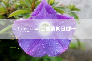 永兴全国消防日哪一