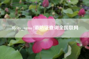 永兴消防证查询全国联网