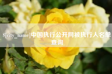 永兴中国执行公开网被执行人名单查询