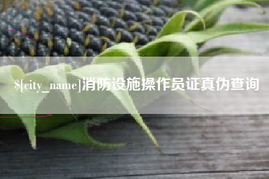 永兴消防设施操作员证真伪查询
