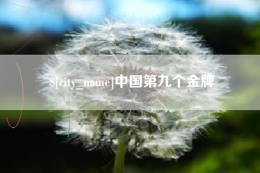 永兴中国第九个金牌