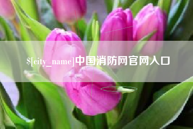 永兴中国消防网官网入口