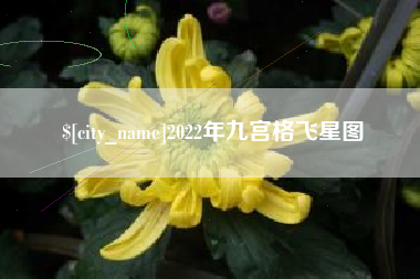 永兴2022年九宫格飞星图