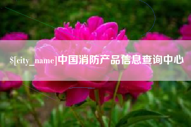 永兴中国消防产品信息查询中心