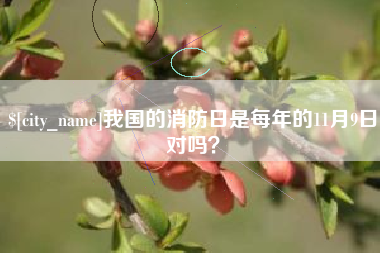 永兴我国的消防日是每年的11月9日对吗？
