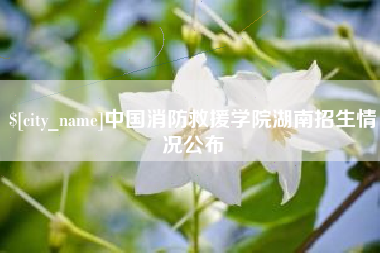 永兴中国消防救援学院湖南招生情况公布