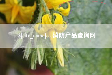 永兴ccc消防产品查询网