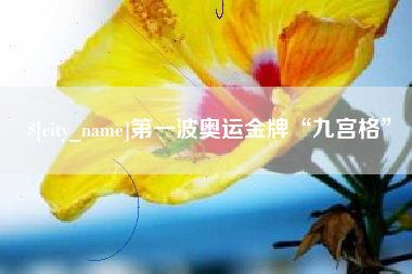 永兴第一波奥运金牌“九宫格”