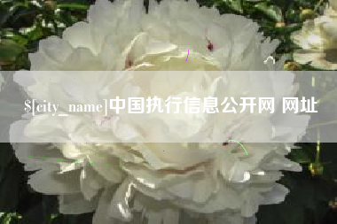 永兴中国执行信息公开网 网址