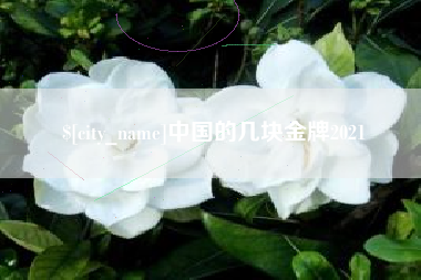 永兴中国的几块金牌2021