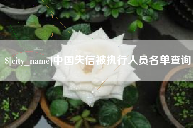 永兴中国失信被执行人员名单查询