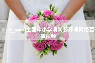 永兴全国中小学消防公开课网络直播视频