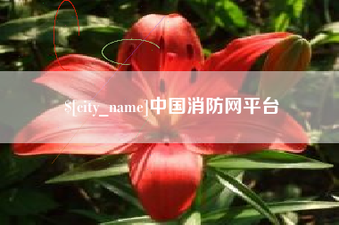 永兴中国消防网平台