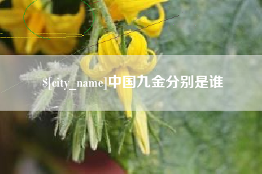 永兴中国九金分别是谁