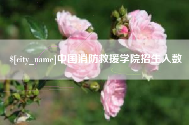永兴中国消防救援学院招生人数
