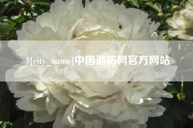 永兴中国消防网官方网站
