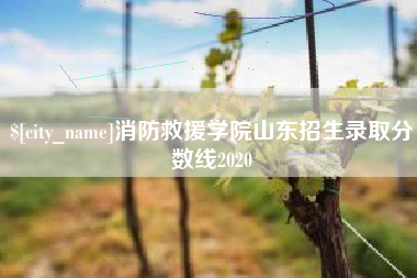 永兴消防救援学院山东招生录取分数线2020