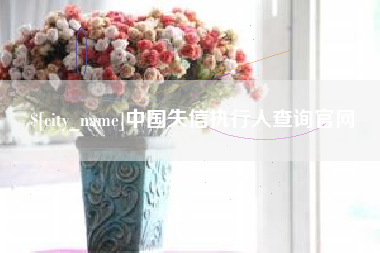 永兴中国失信执行人查询官网