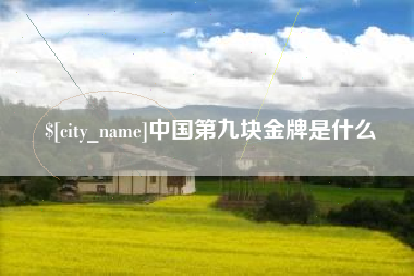 永兴中国第九块金牌是什么