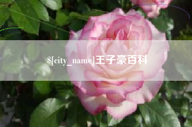 永兴王子豪百科