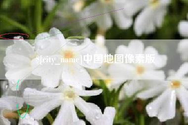 永兴中国地图像素版
