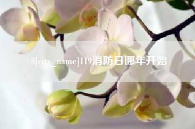 永兴119消防日哪年开始