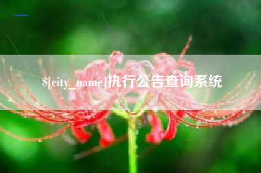 永兴执行公告查询系统