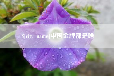 永兴中国金牌都是啥