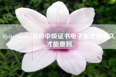 永兴消防中级证书电子版查询多久才能查到