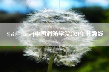永兴中国消防学院2024年分数线