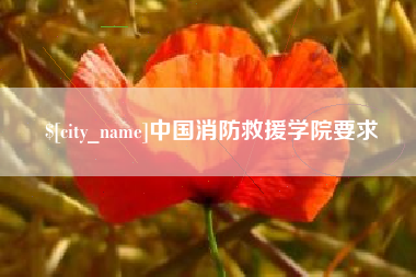 永兴中国消防救援学院要求