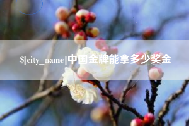 永兴中国金牌能拿多少奖金