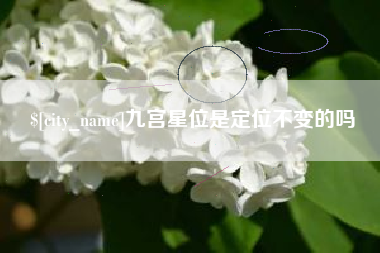 永兴九宫星位是定位不变的吗