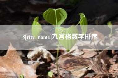 永兴九宫格数字排序