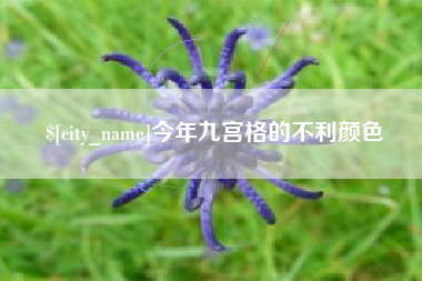 永兴今年九宫格的不利颜色