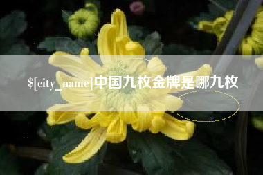 永兴中国九枚金牌是哪九枚