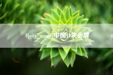 永兴中国19块金牌
