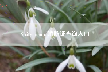永兴消防证查询入口