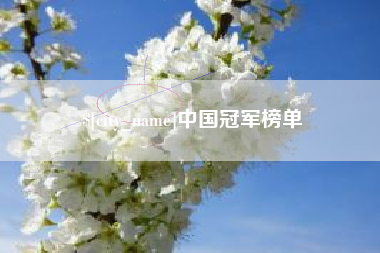 永兴中国冠军榜单
